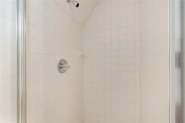 a view of a forest with a tree