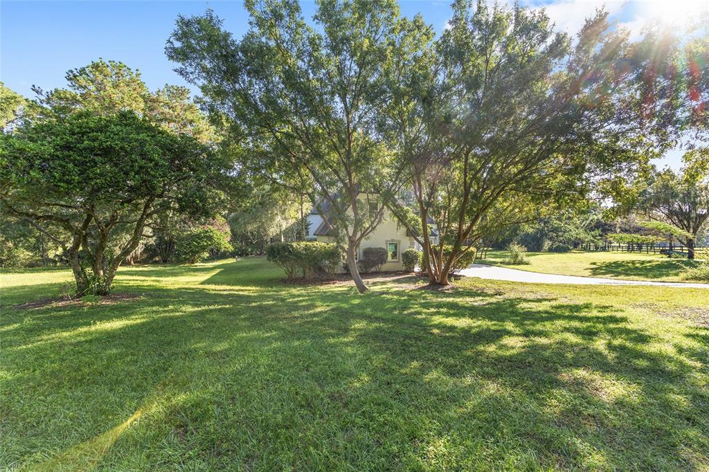 6581 South Magnolia Avenue Ocala, FL 34471 - Photo 50 of 59