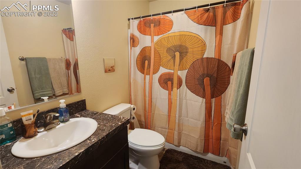 27650 Triple B Road Woodland Park, CO 80863 - Photo 12 of 18 a bathroom with a toilet sink and mirror
