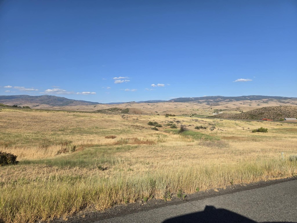 Tbd Mesa Road Indian Valley, ID 83632 - Photo 3 of 7