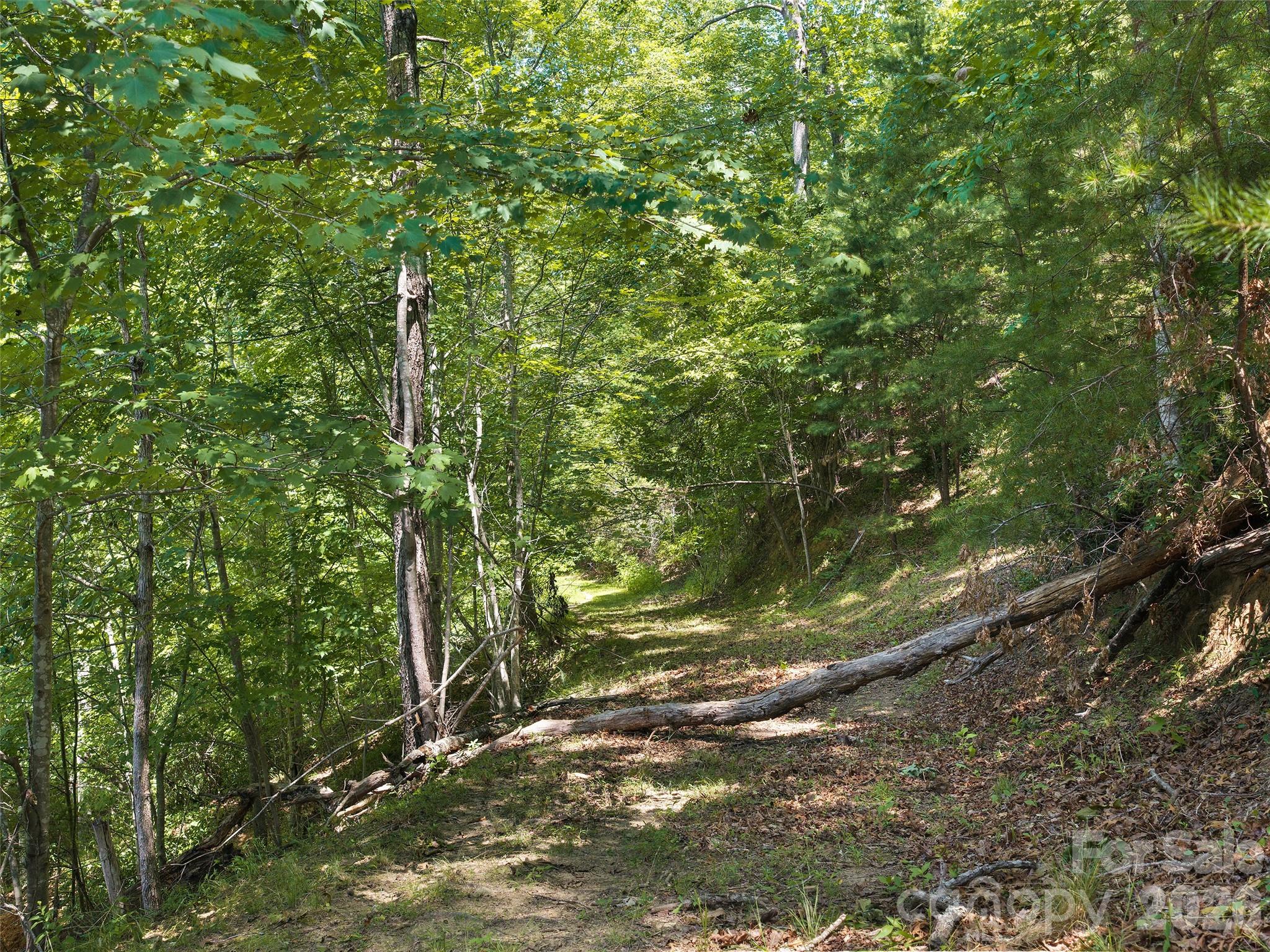 Lot 3 Loggers Pass Ln Mill Spring Mill Spring, NC 28756 - Photo 4 of 13