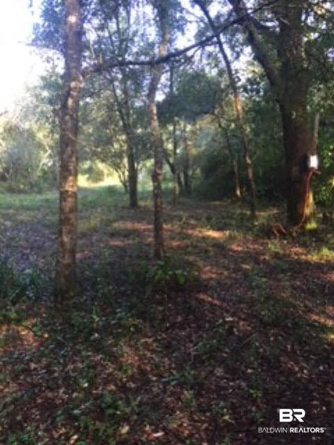0 Wayburn Road Seminole, AL 36574 - Photo 7 of 8
