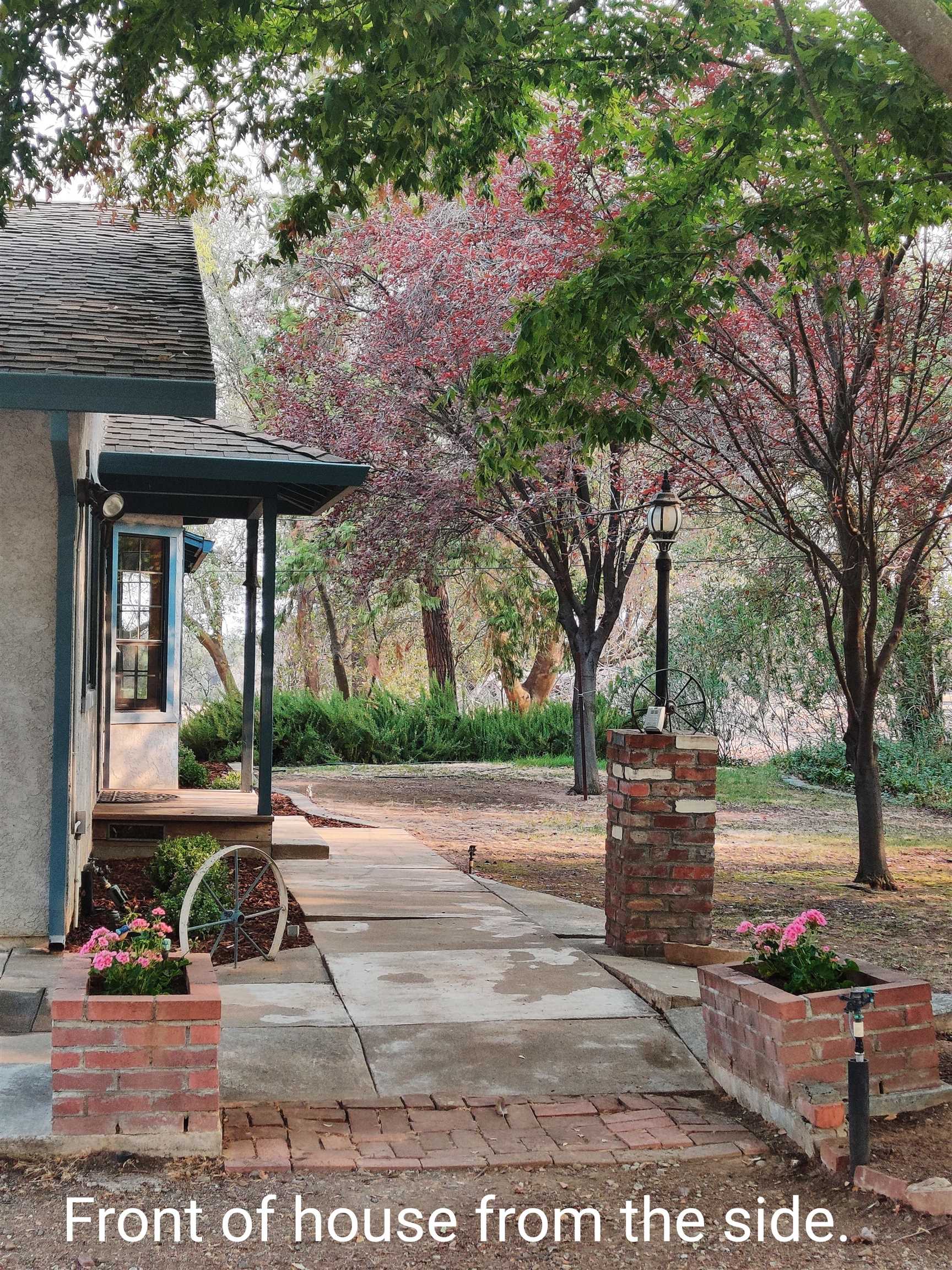 12455 Wilder Road Red Bluff, CA 96080 - Photo 1 of 73 a view of yard with tree in front of it