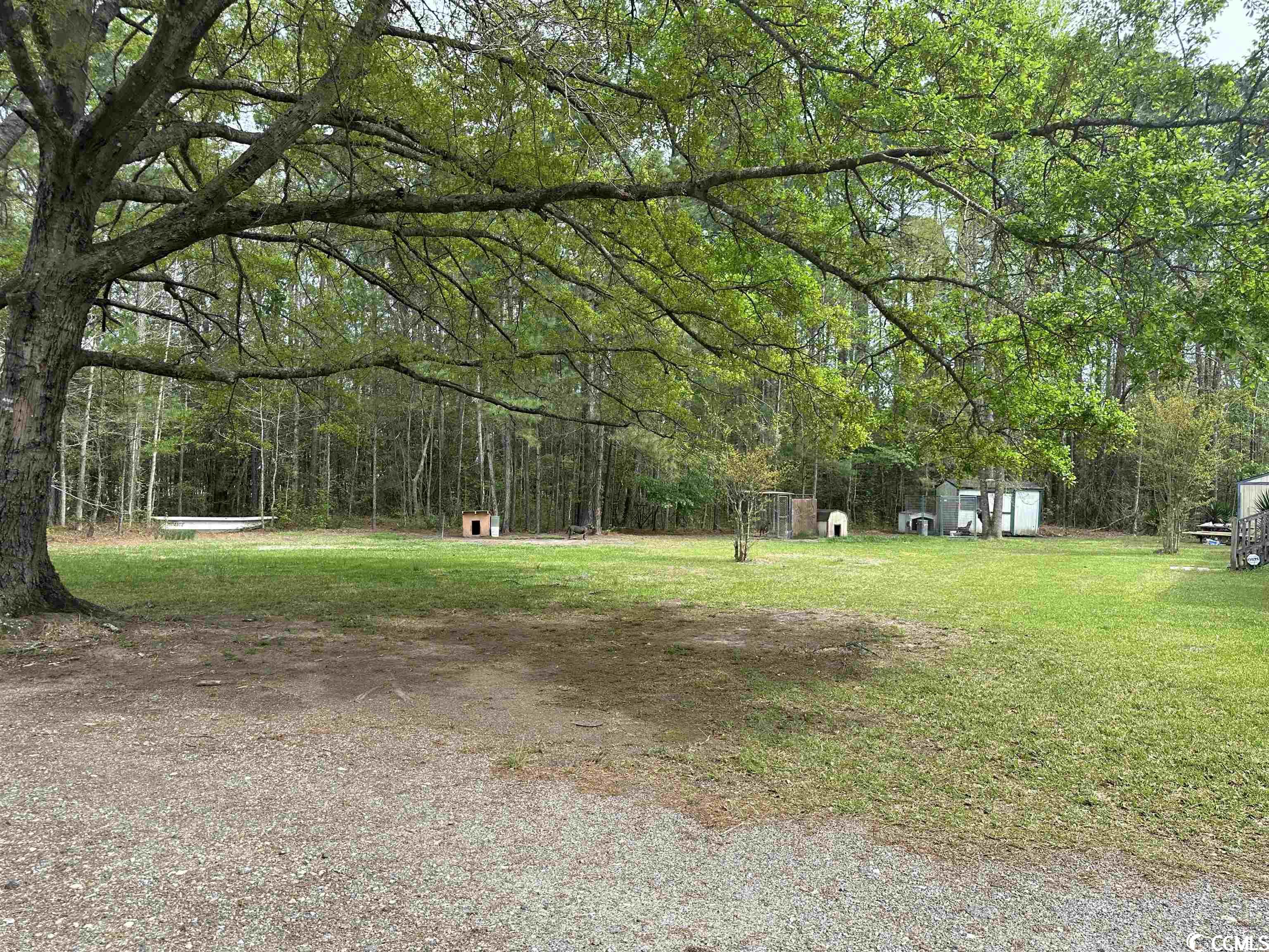 5737 Bear Bluff Road Conway, SC 29526 - Photo 12 of 14 Gallery Image 12