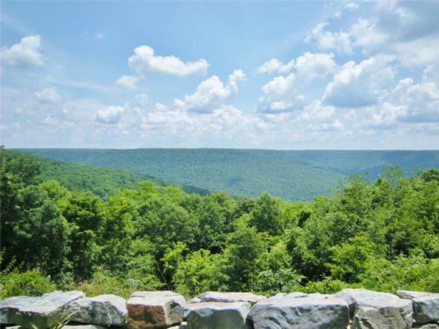 3217 Sherwood Road Sewanee, TN 37375 - Photo 19 of 20 Can you believe this view?