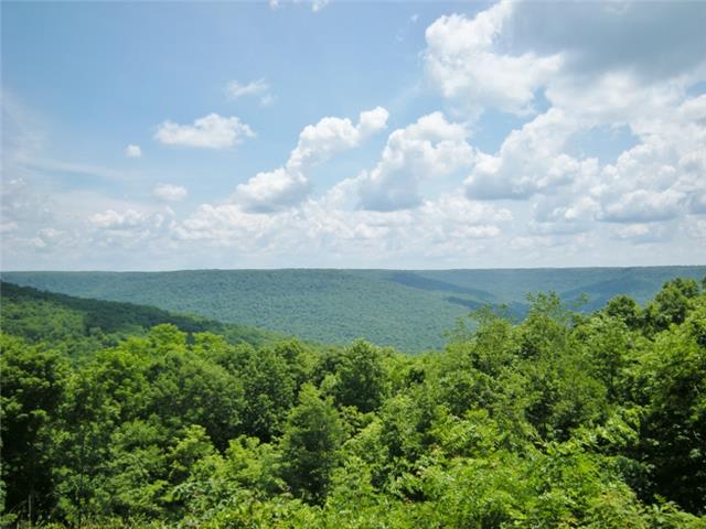 3217 Sherwood Road Sewanee, TN 37375 - Photo 4 of 20 Breath taking view.