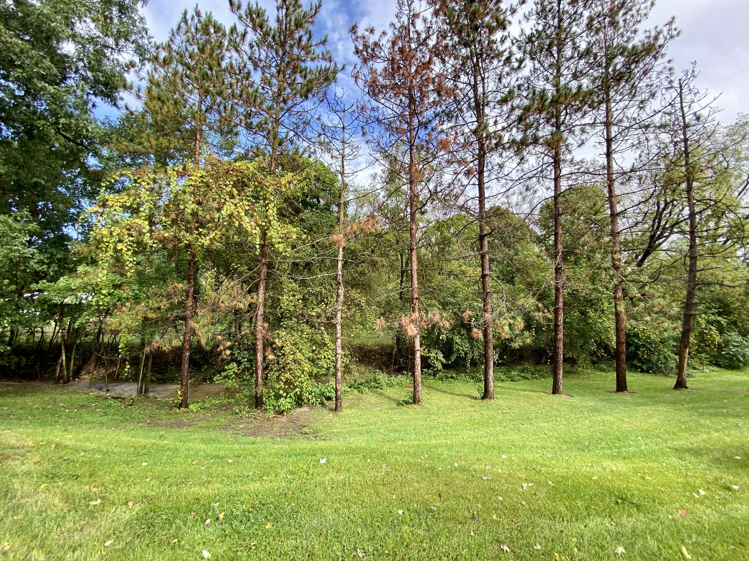 286 Bater Road Coldwater, MI 49036 - Photo 14 of 18 2E2858B0-4F6B-42C3-B140-780417CD9409