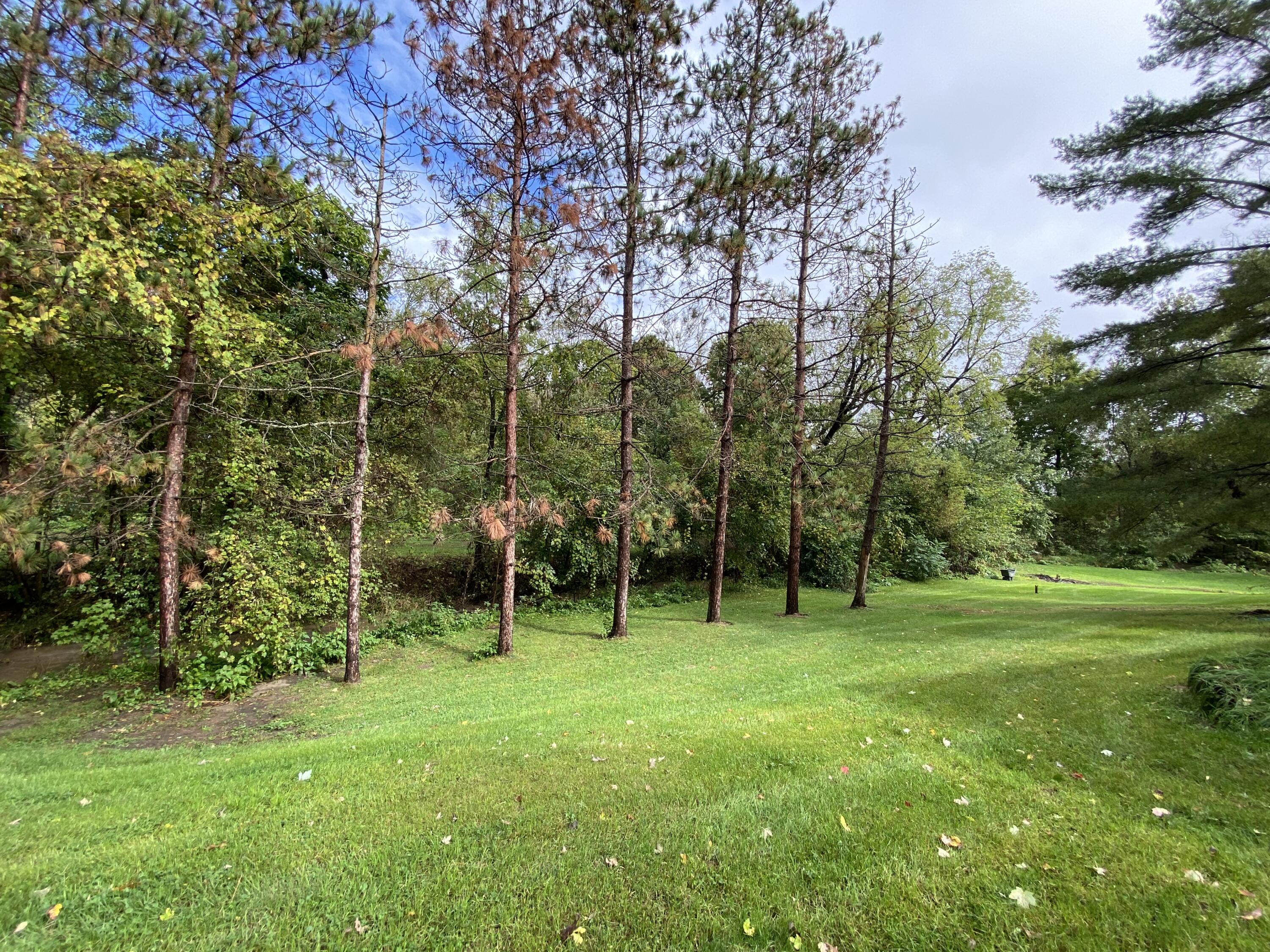 286 Bater Road Coldwater, MI 49036 - Photo 16 of 18 3F86640A-8356-4D71-B05C-7DF6528FD674
