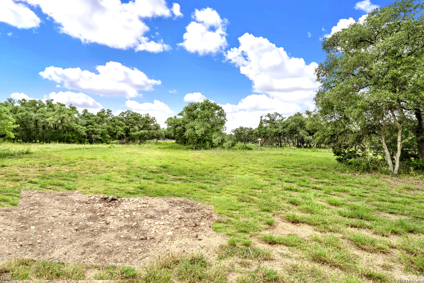 0 Fm 1796 D'Hanis, TX 78850 - Photo 19 of 26 a view of a big yard with plants and large trees