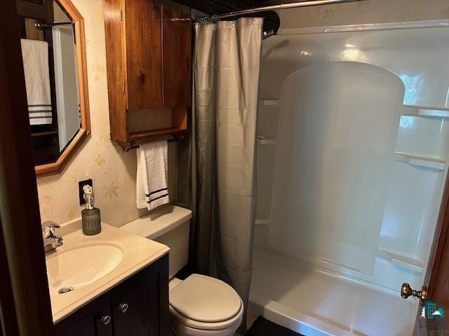 615 Kellys Lot Road Ely, MN 55731 - Photo 24 of 39 Bathroom with vanity and toilet