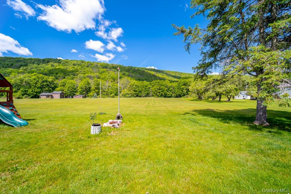 253 Rockland Road Roscoe, NY 12776 - Photo 31 of 31