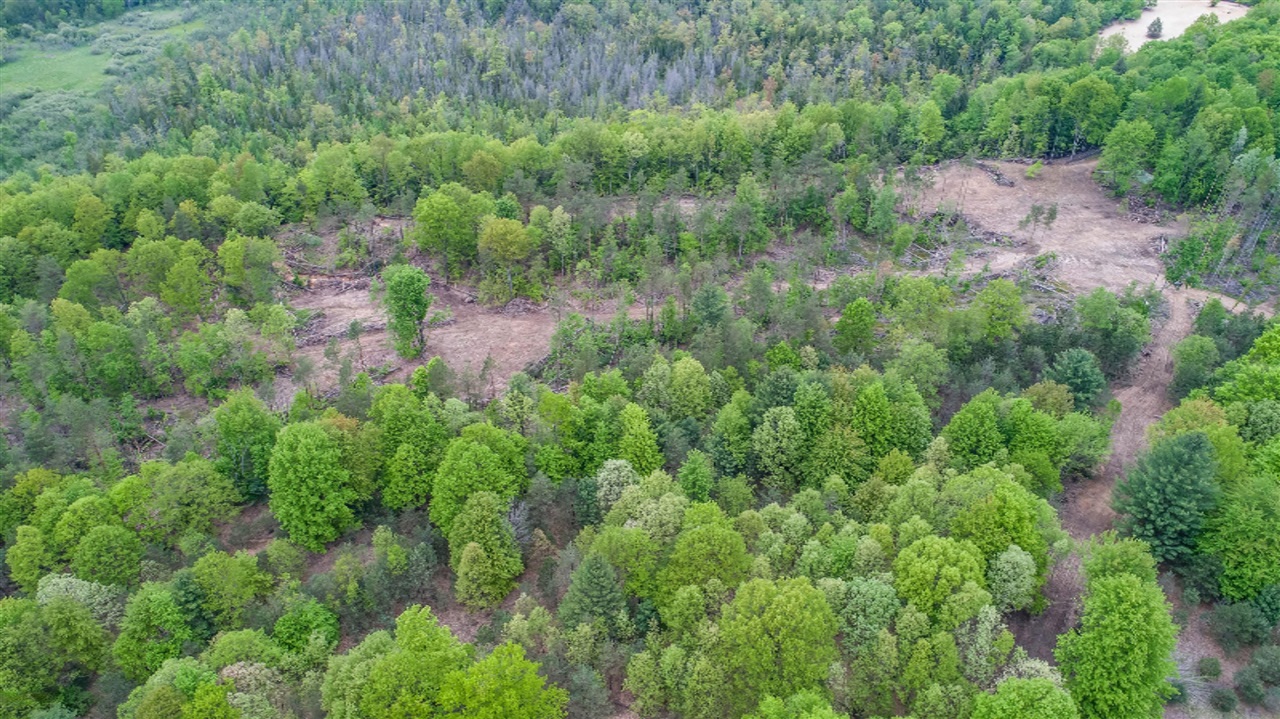 100 West Baseline Road Hart, MI 49420 - Photo 10 of 31