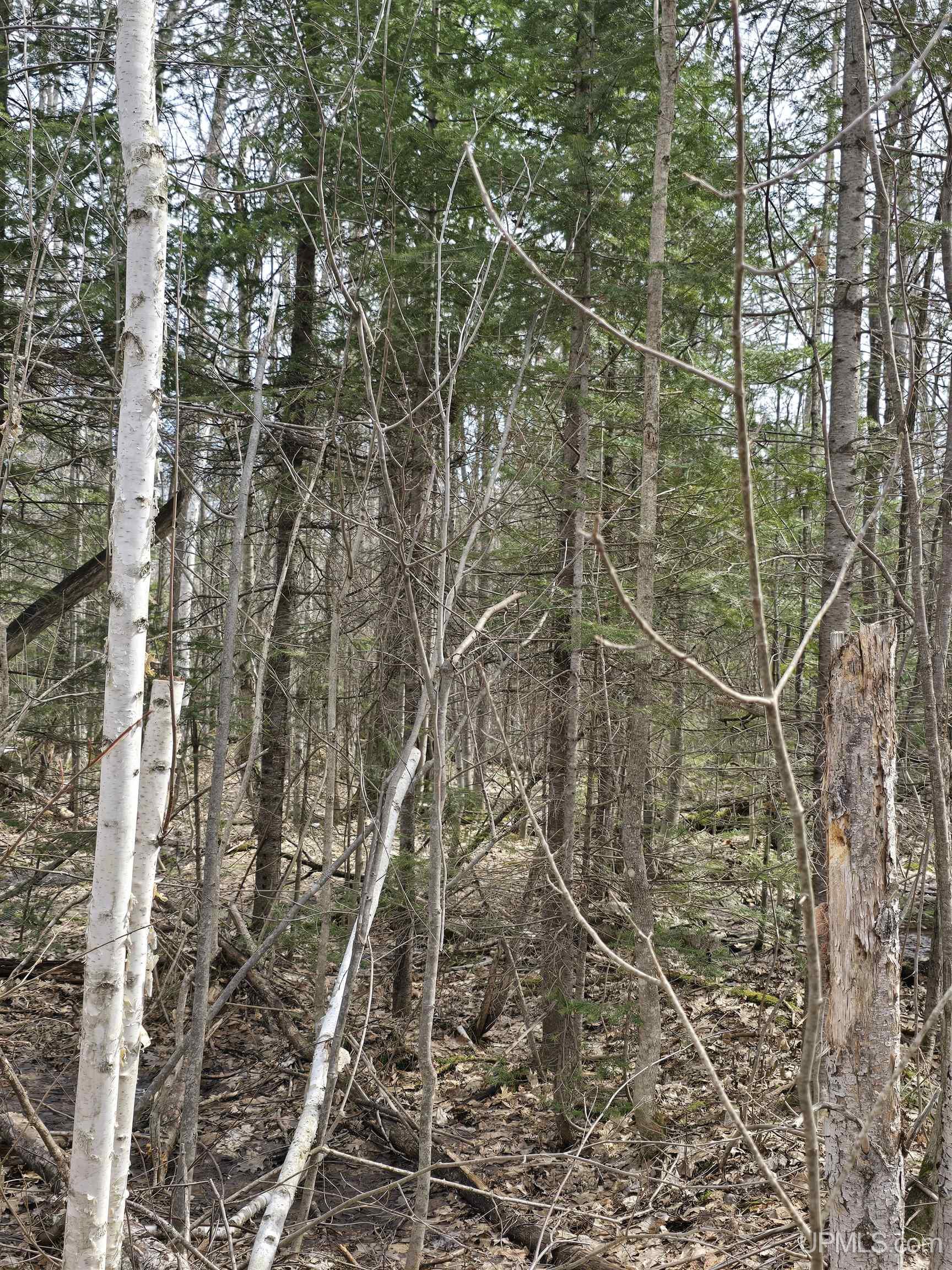 Tbd Woodspur Road Ontonagon, MI 49953 - Photo 35 of 46
