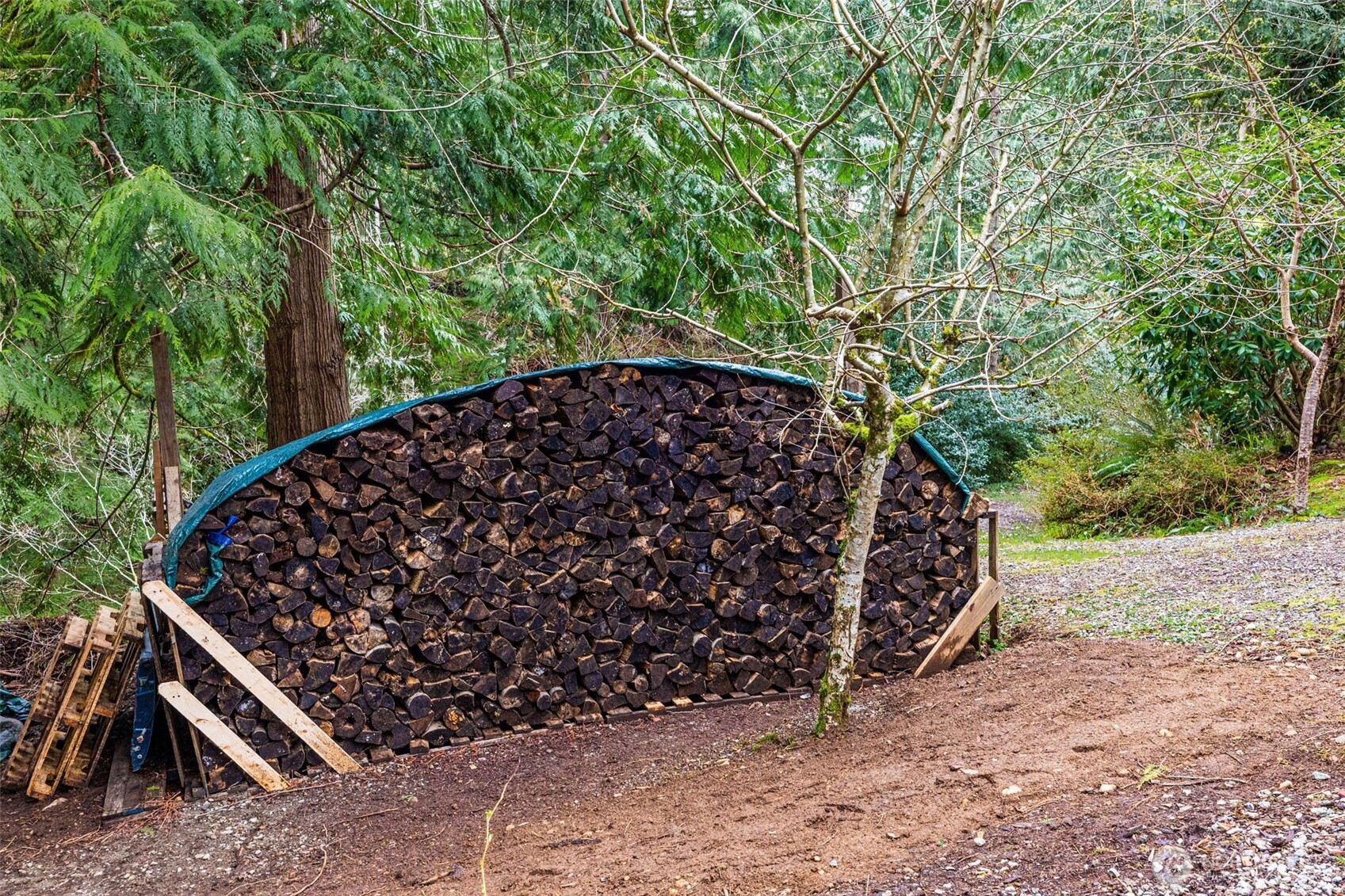 33501 112th Street Southeast Sultan, WA 98294 - Photo 29 of 31 a view of a plants