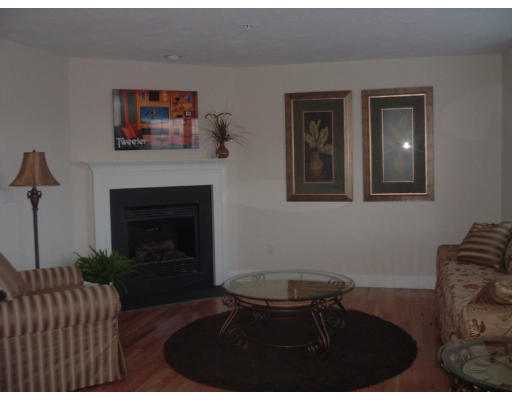 1975 Middlesex Street, Unit 7 Lowell, MA 01851 - Photo 3 of 6 a living room with furniture and a fireplace