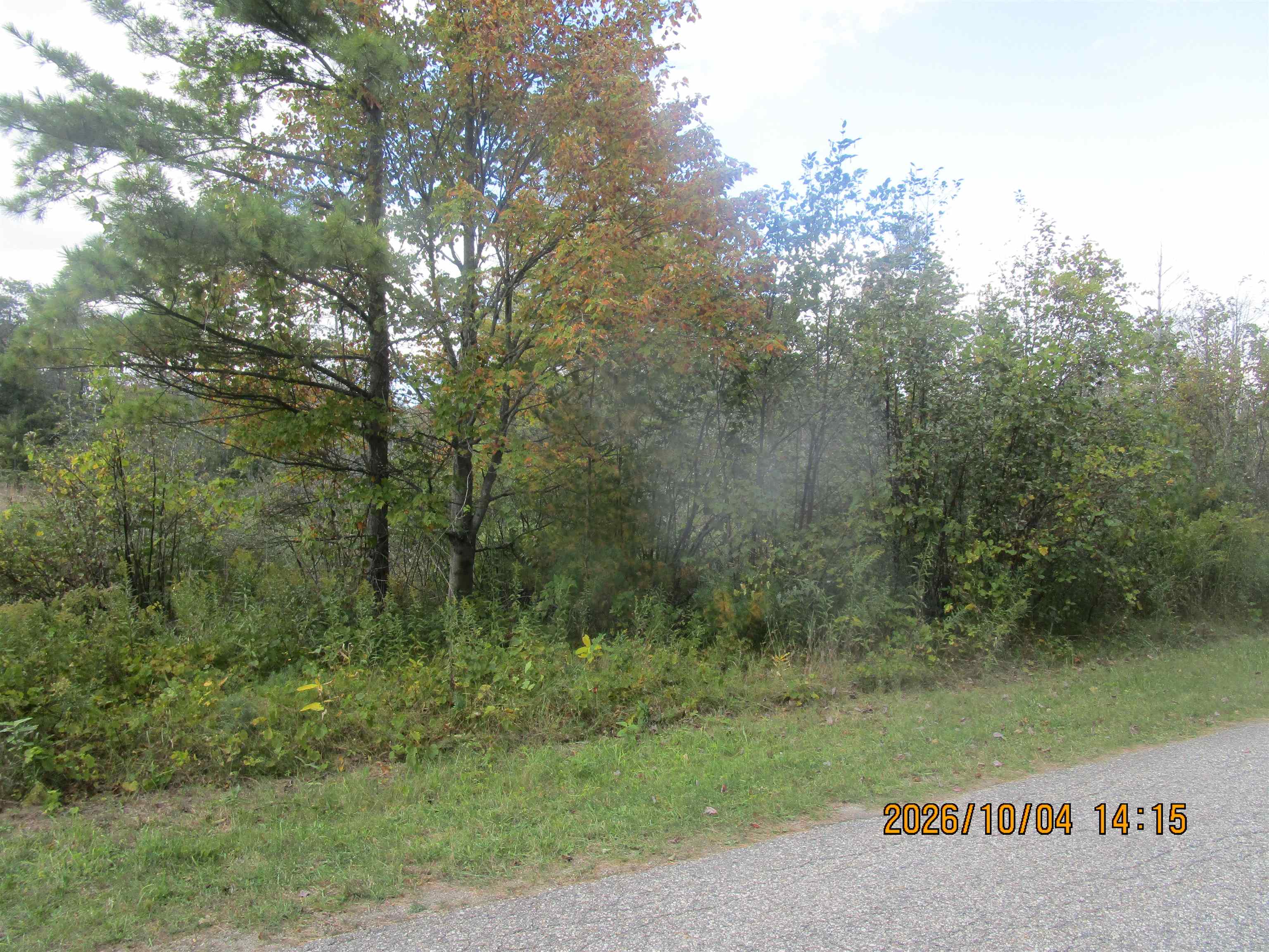 0 Ausable Point Road, Unit 0GOWEN RD Oscoda, MI 48730 - Photo 2 of 11 Gallery Image 2