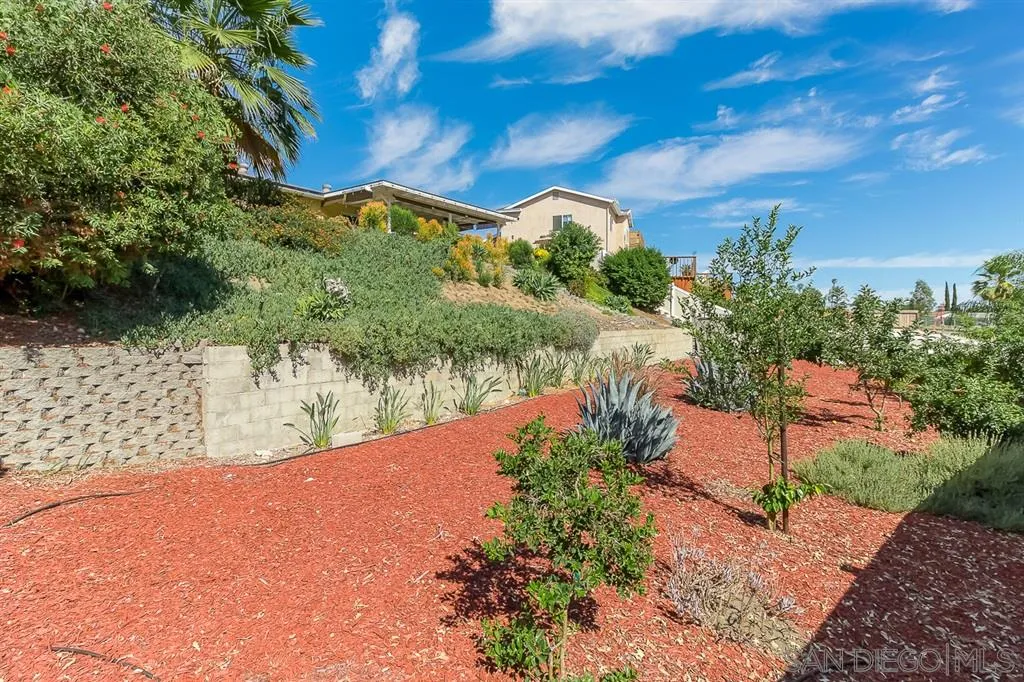 9215 Dalehurst Road Santee, CA 92071 - Photo 23 of 25 a view of a yard with an tree and plants