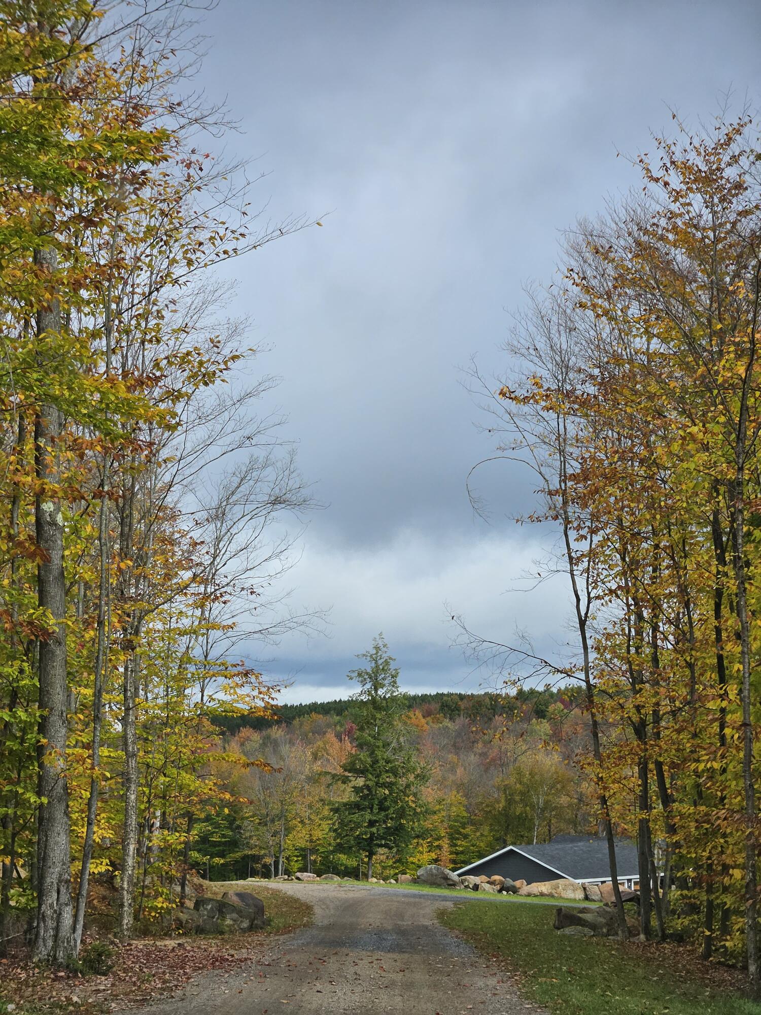 58 Hewitt Road St. Regis Falls, NY 12980 - Photo 73 of 126