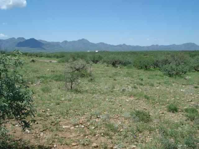 1872 Wall Court Rio Rico, AZ 85648 - Photo 3 of 3