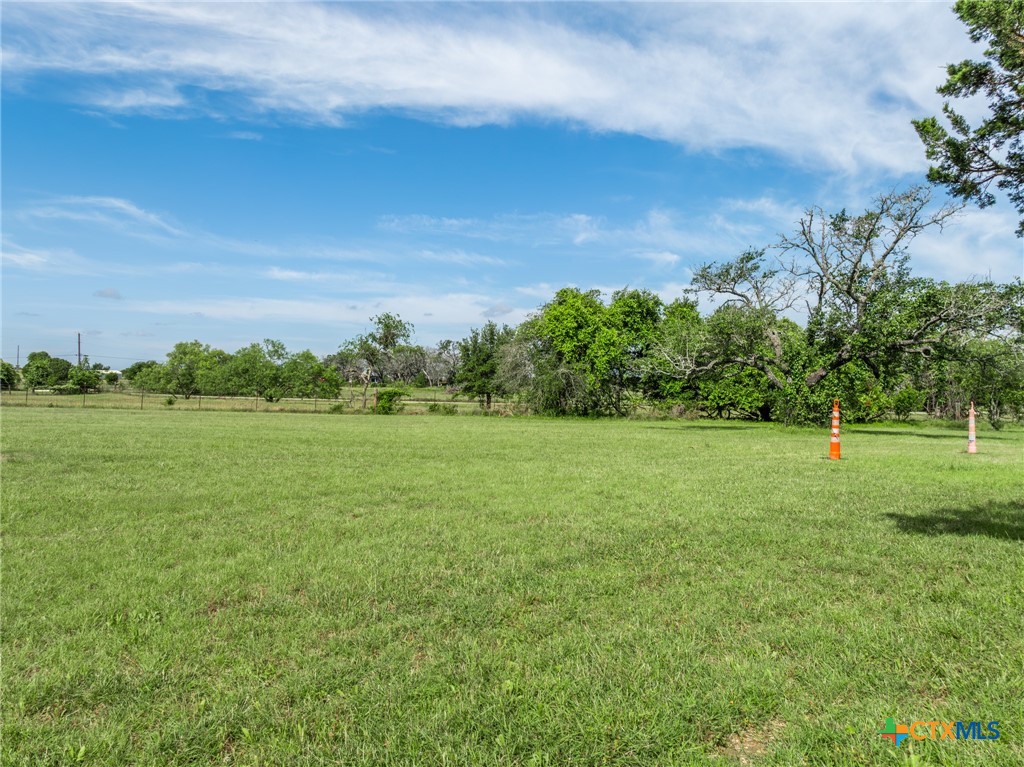 199 Apache Springs Road Briggs, TX 78608 - Photo 31 of 48