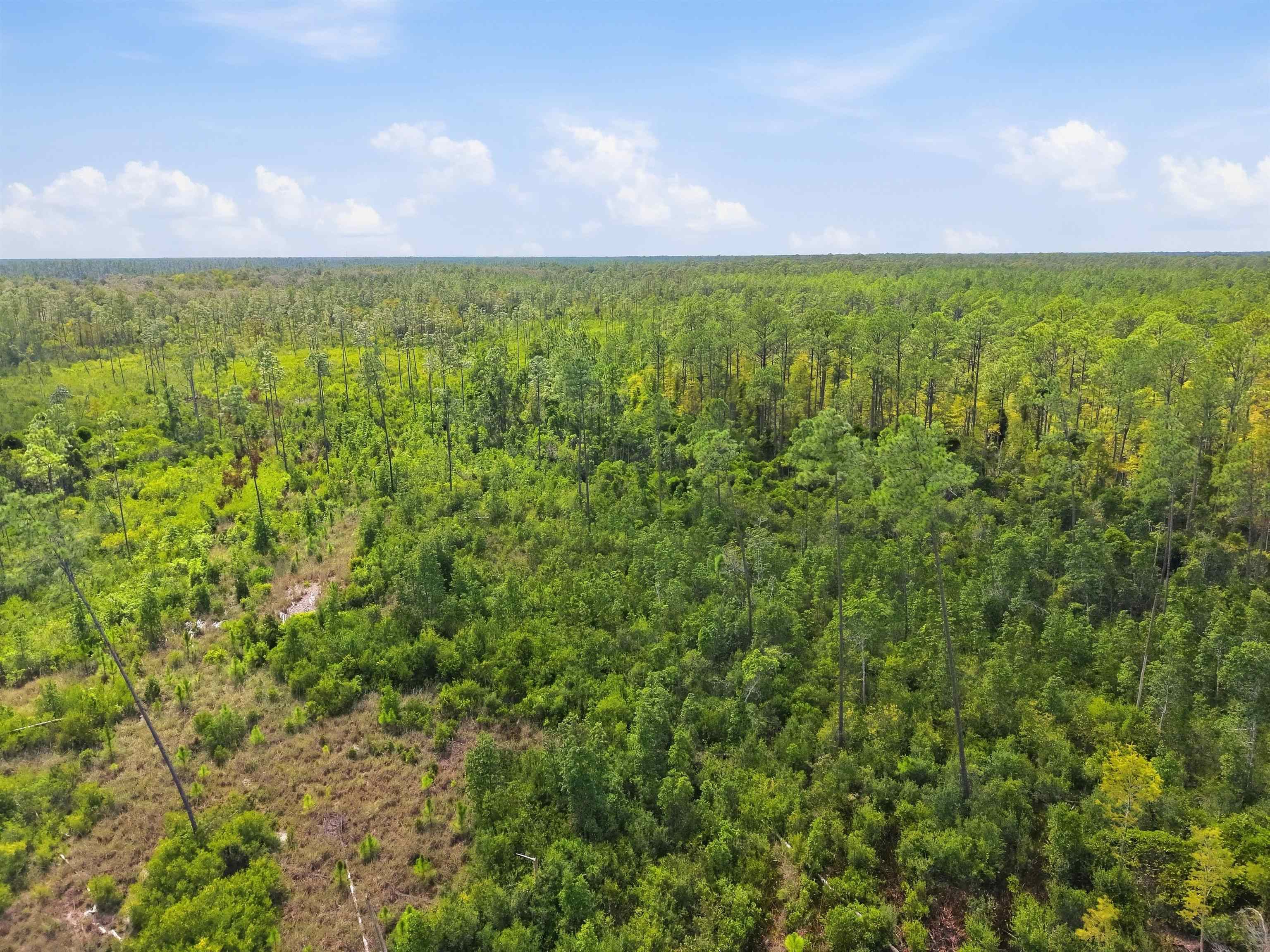 77 Circle Block Loop Perry, FL 32347 - Photo 14 of 22 Gallery Image 14