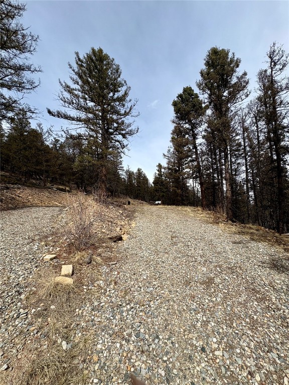 1445 Redhill Road Fairplay, CO 80440 - Photo 23 of 31 View of nature