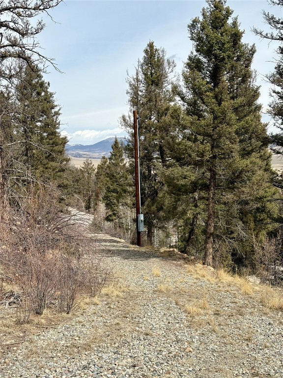1445 Redhill Road Fairplay, CO 80440 - Photo 3 of 31 View of road featuring a mountain view
