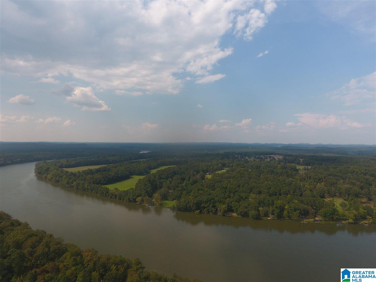0 Brooks Road Ragland, AL 35131 - Photo 7 of 49