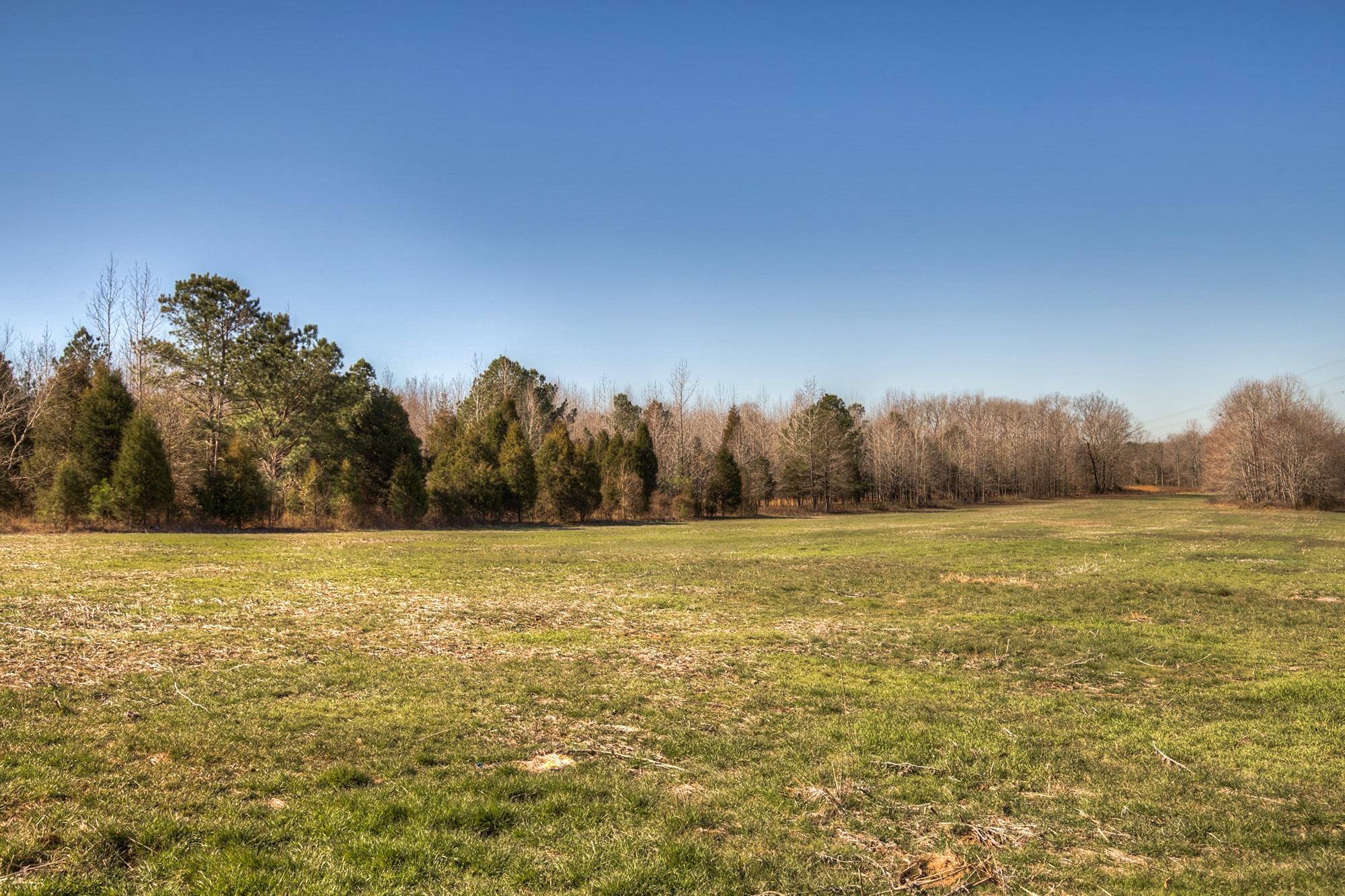 1782 Shiloh Church Road Camden, TN 38320 - Photo 12 of 15 Gallery Image 12