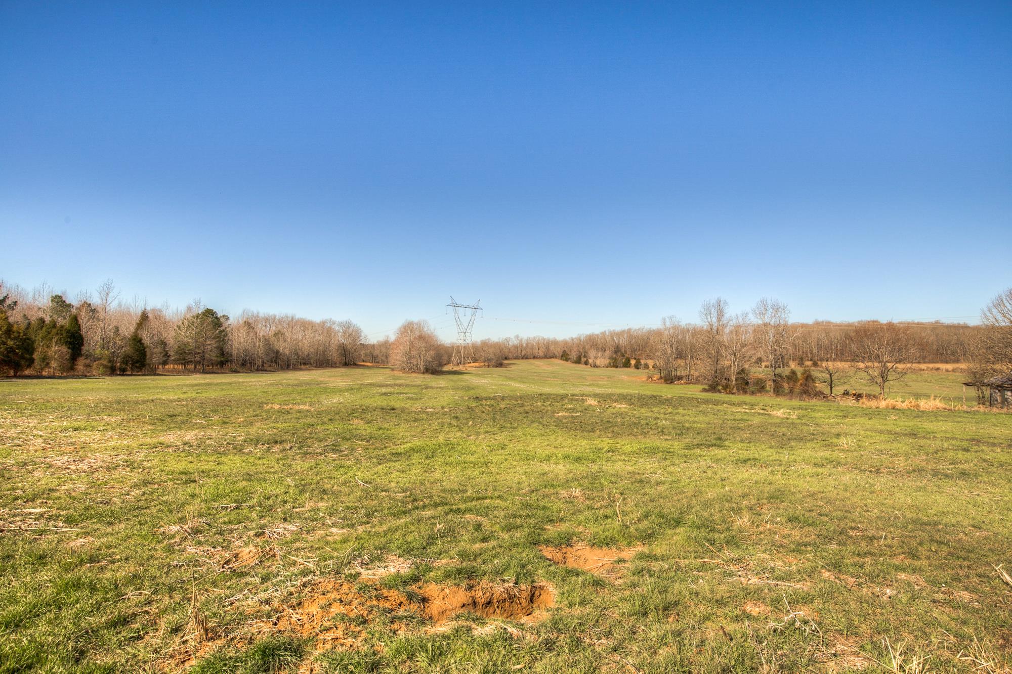 1782 Shiloh Church Road Camden, TN 38320 - Photo 13 of 15 Gallery Image 13