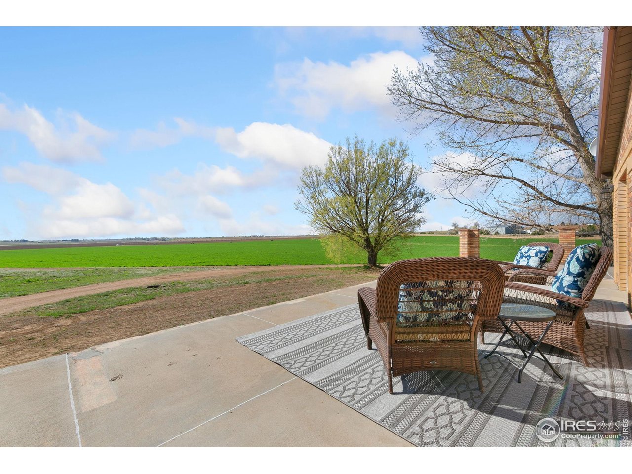 10056 County Road 76 1/2 Windsor, CO 80550 - Photo 28 of 40