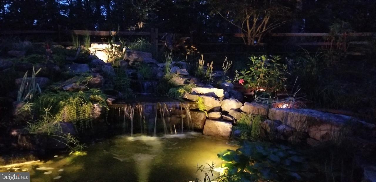 3813 Ady Road Street, MD 21154 - Photo 13 of 67 Koi pond