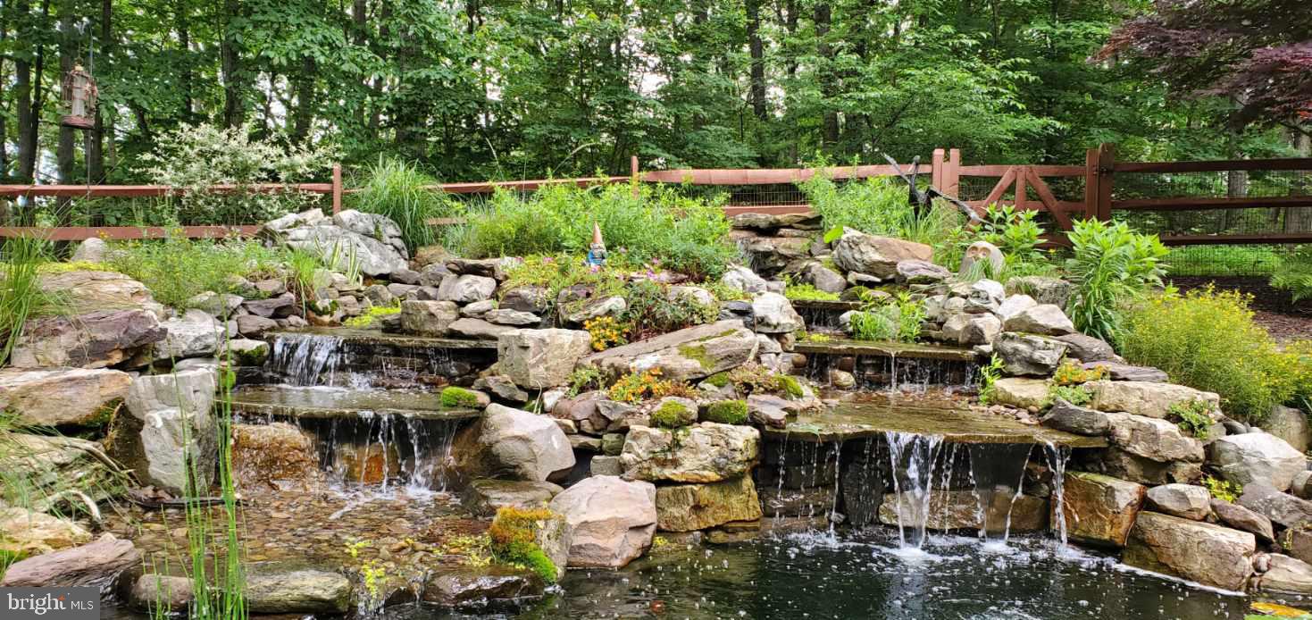 3813 Ady Road Street, MD 21154 - Photo 14 of 67 Koi pond