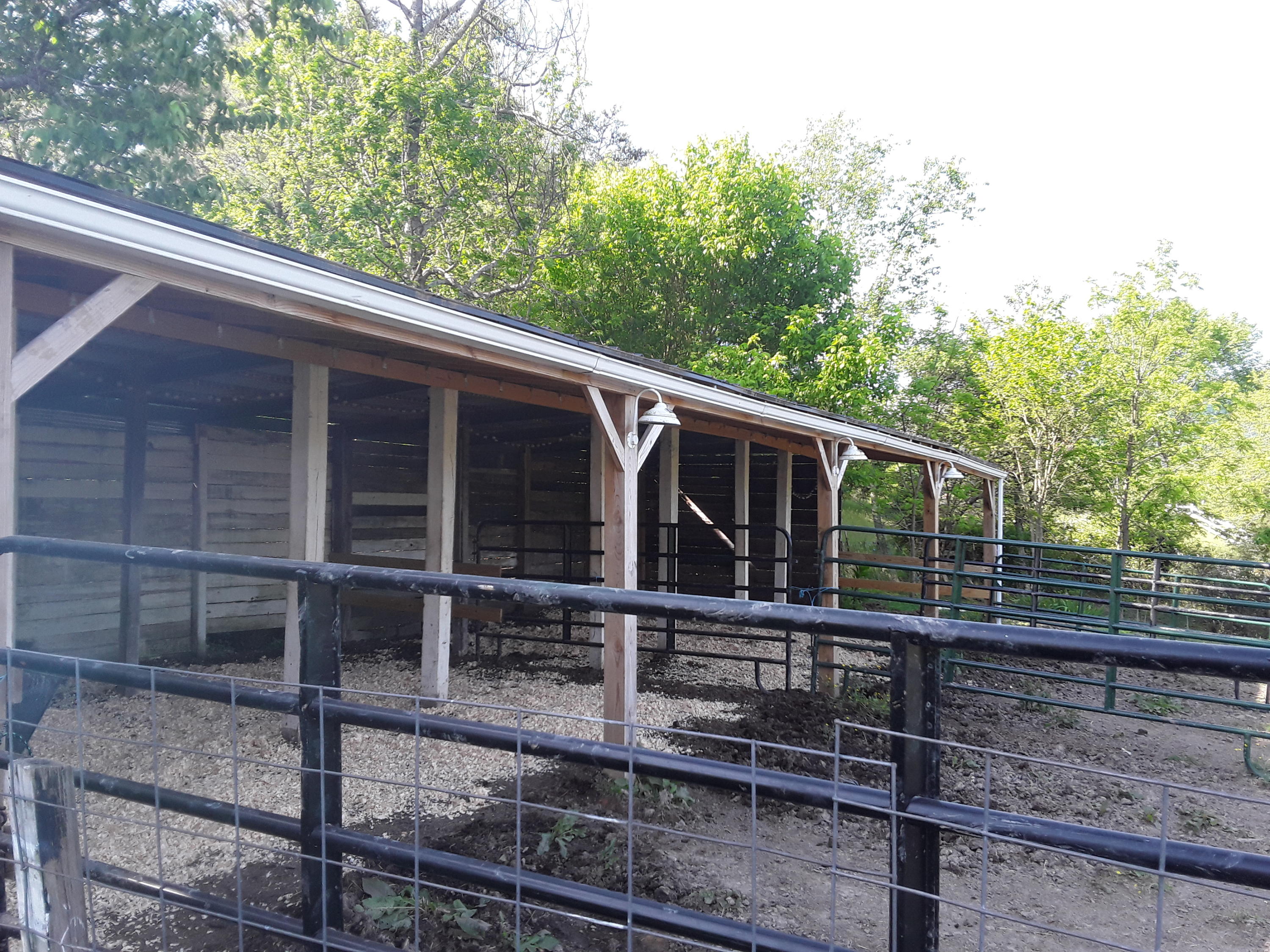 787 Houston Valley Road Greeneville, TN 37743 - Photo 13 of 32 shedrow barn