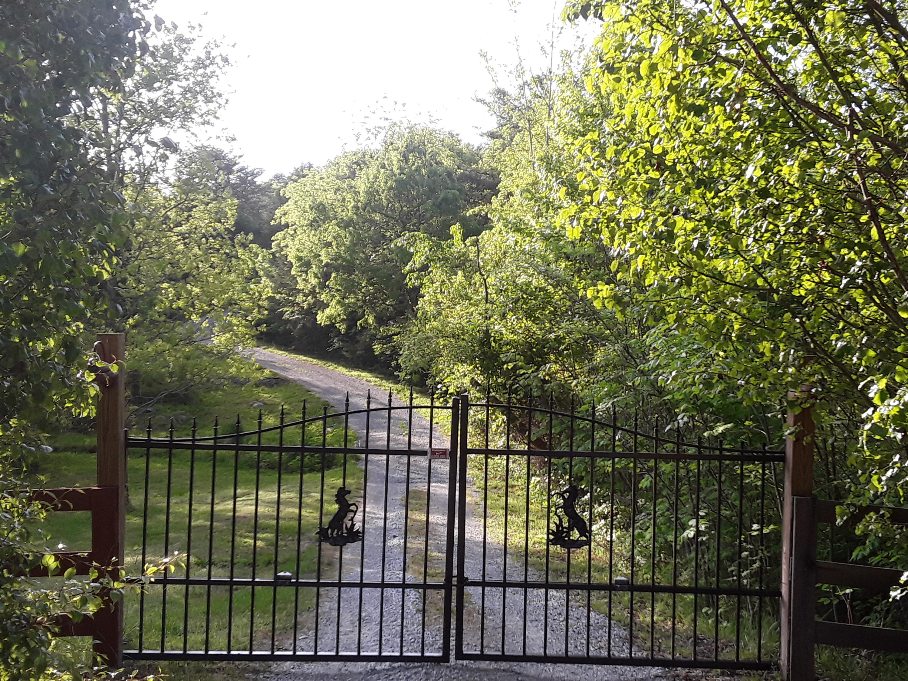 787 Houston Valley Road Greeneville, TN 37743 - Photo 5 of 32 custom gate entrance