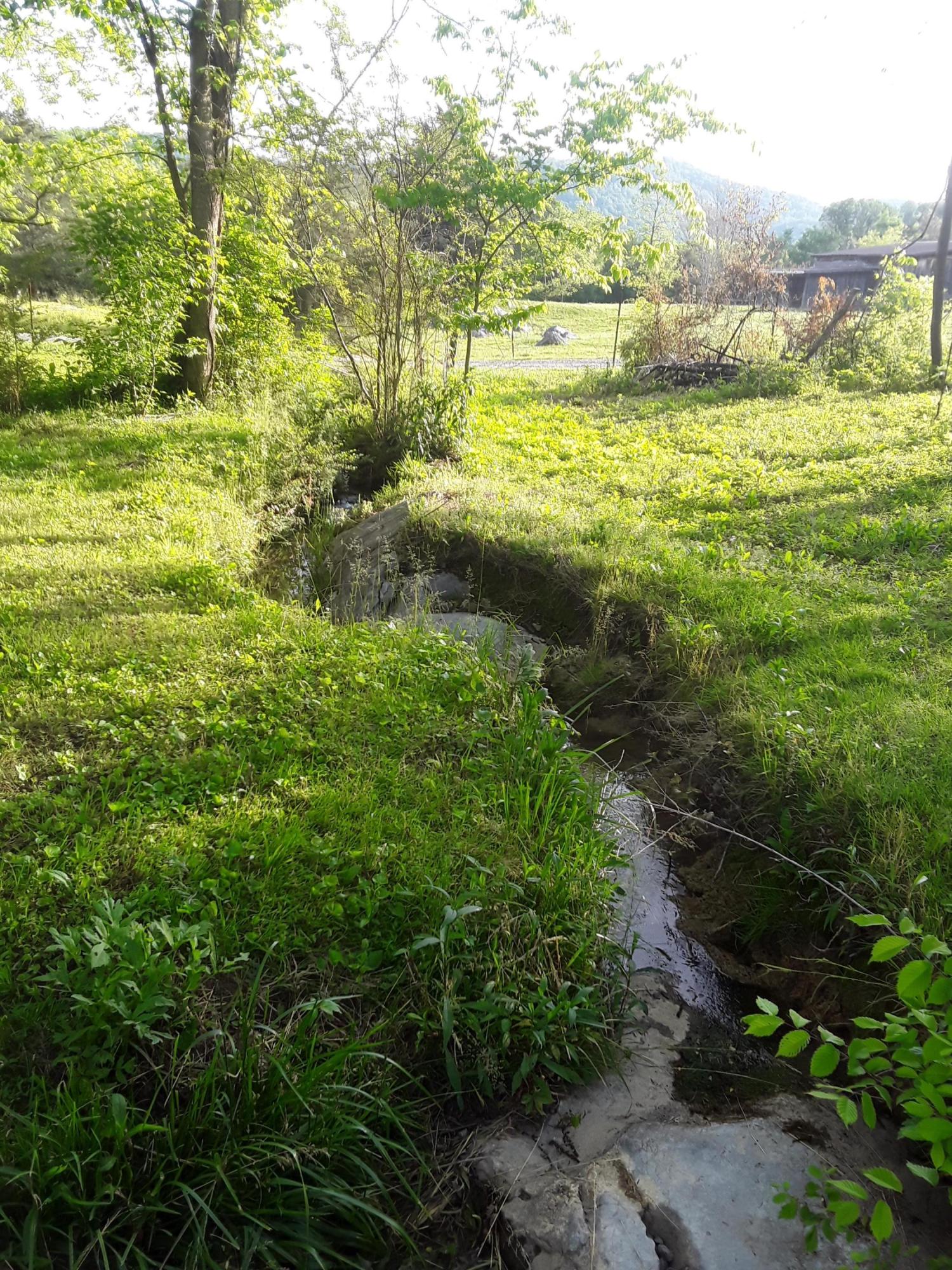 787 Houston Valley Road Greeneville, TN 37743 - Photo 6 of 32 flowing creek