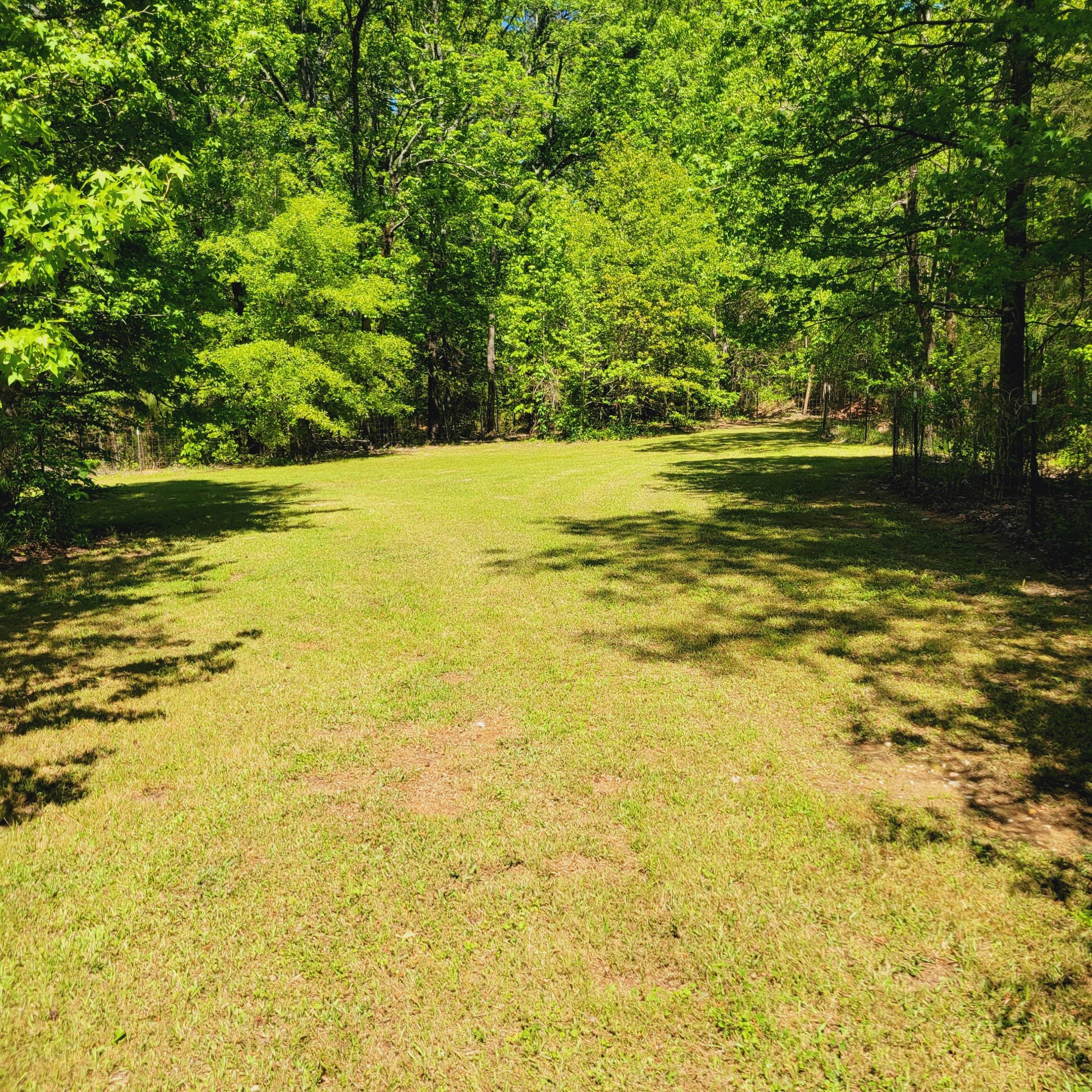 2946 Upper Mill Road McCormick, SC 29835 - Photo 22 of 75 20250416_144623