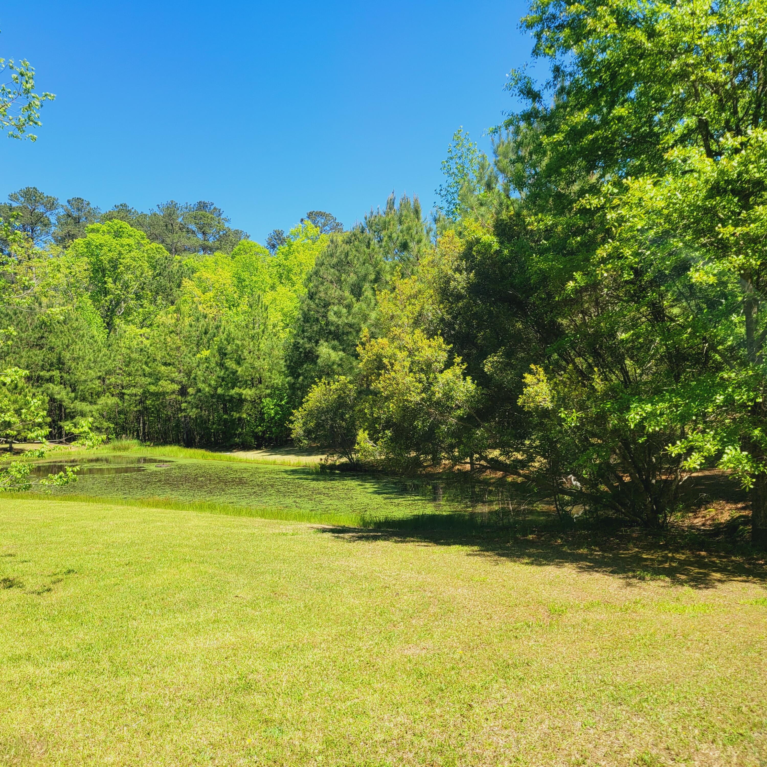 Closer picture of the pond which is on the front portion of the land.