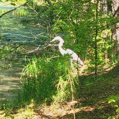 $524,900 | 2946 Upper Mill Road, McCormick, SC 29835