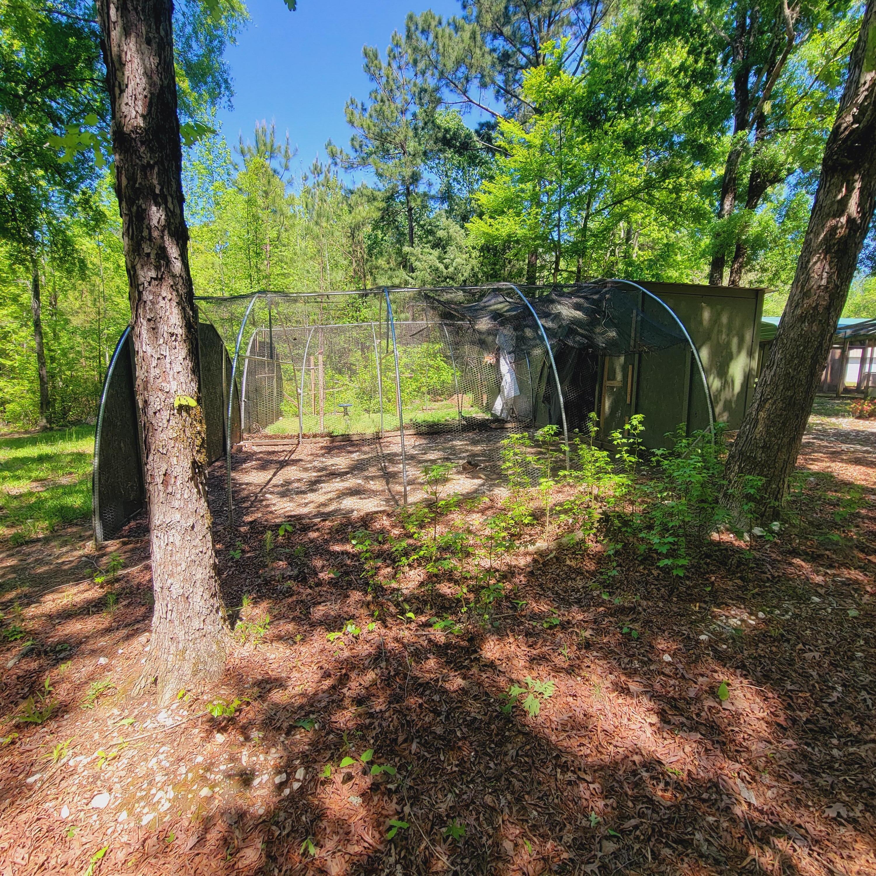 2946 Upper Mill Road McCormick, SC 29835 - Photo 8 of 75 20250416_142556