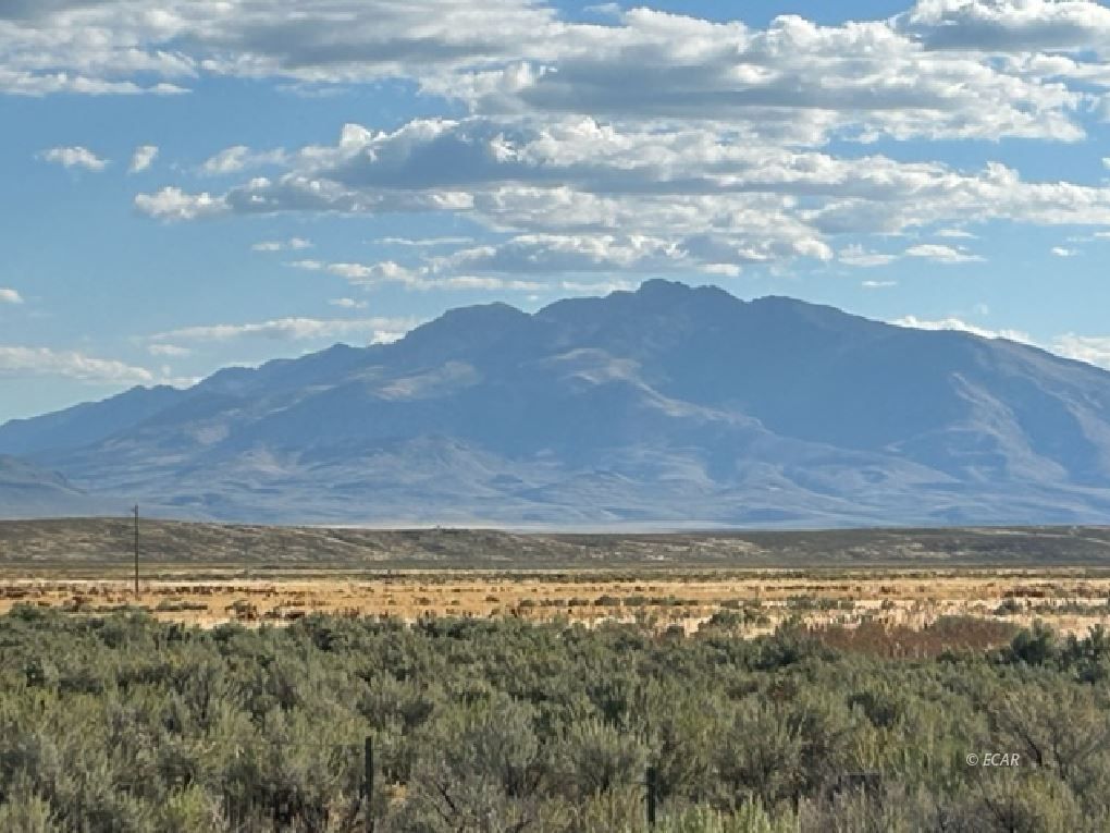 North Metropolis Road Wells, NV 89835 - Photo 3 of 4