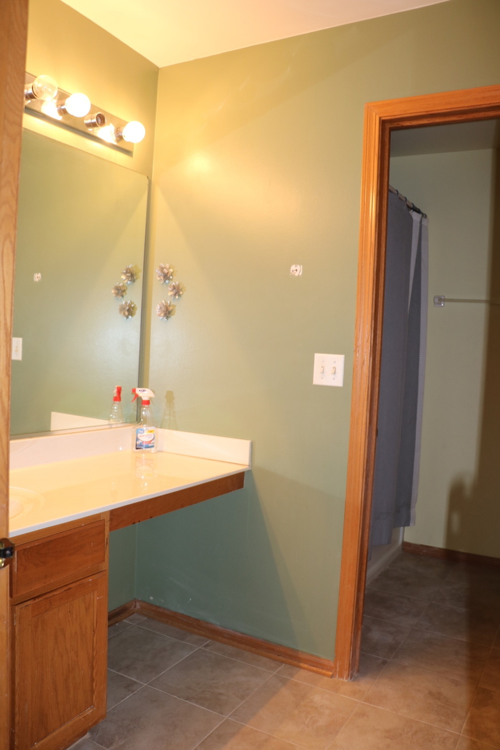 379 Reston Circle Romeoville, IL 60446 - Photo 11 of 23