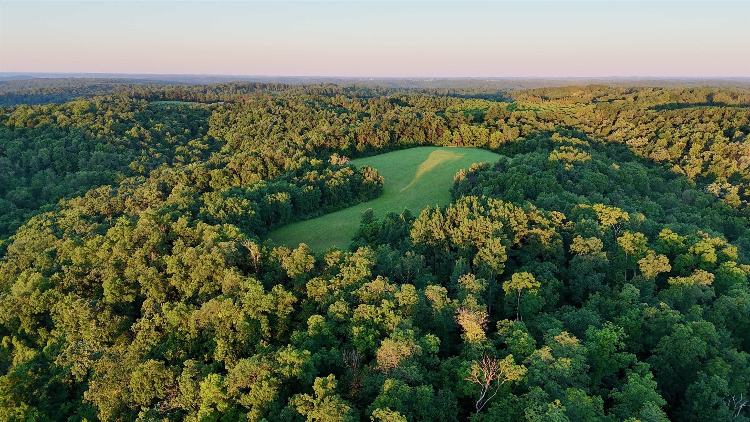 Tbd Wheat Hollow Road Cazenovia, WI 53924 - Photo 17 of 42