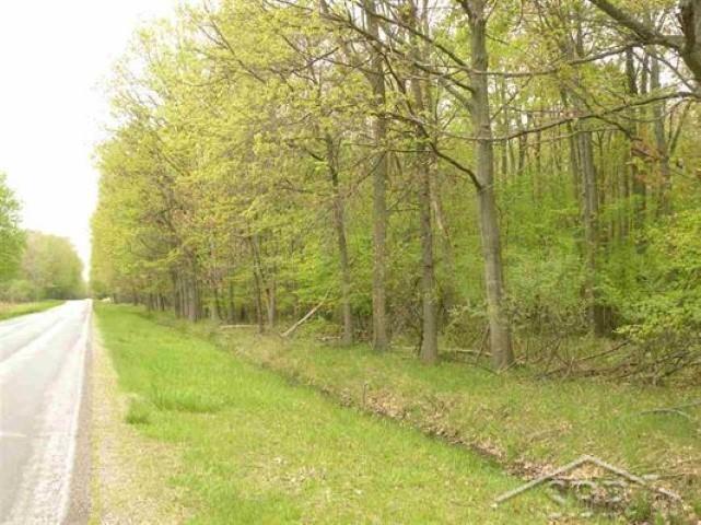 18405 Ithaca Road St. Charles, MI 48655 - Photo 8 of 8