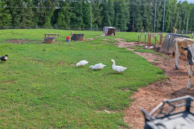 $705,000 | 267 Bear Crk Mdws Drive, Bogart, GA 30622