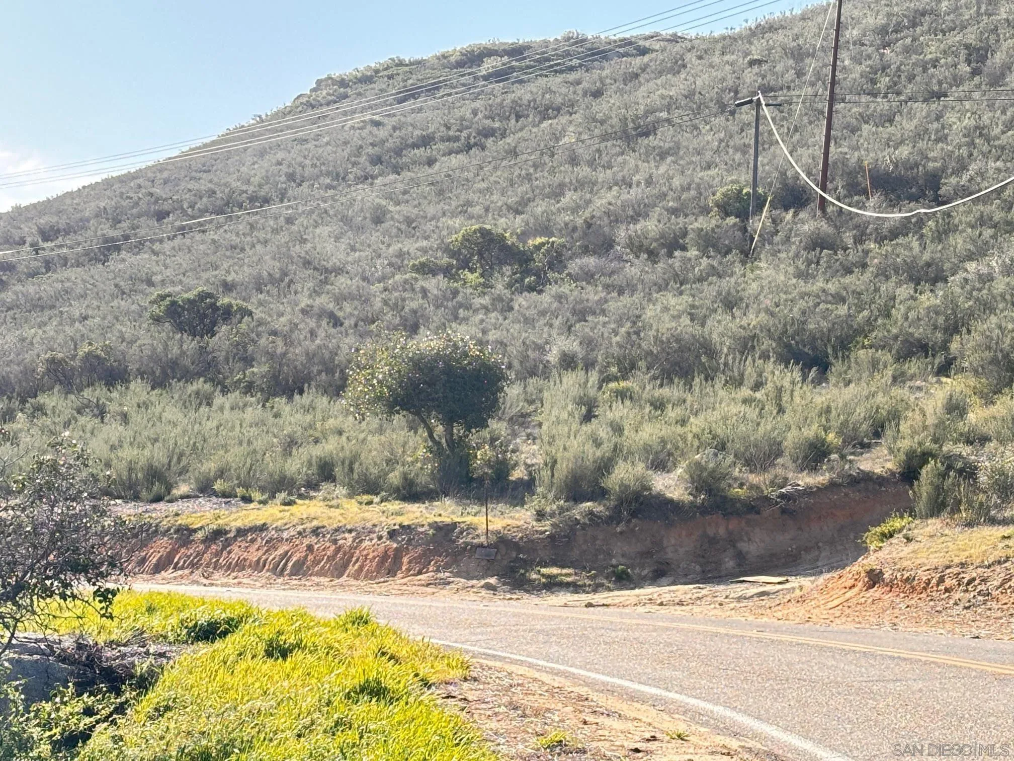0 Round Potrero Road, Unit 1 Potrero, CA 91963 - Photo 2 of 6 a view of a yard with an trees