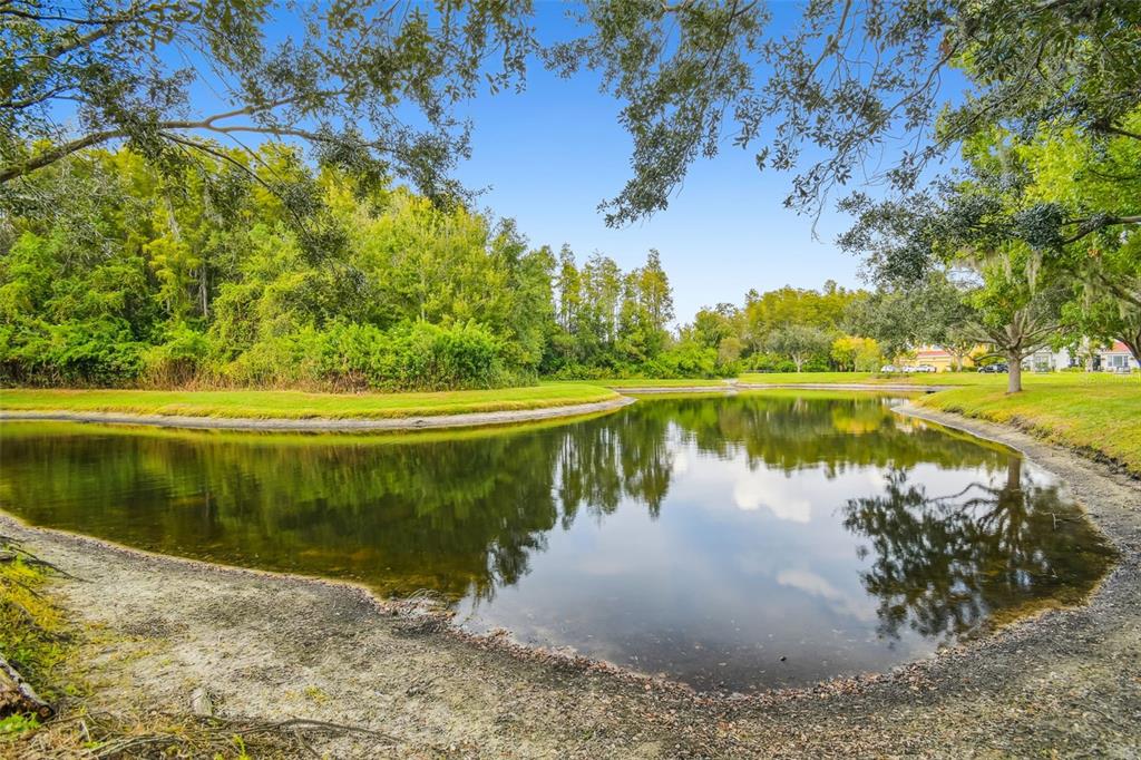 12803 Darby Ridge Drive Tampa, FL 33624 - Photo 63 of 76