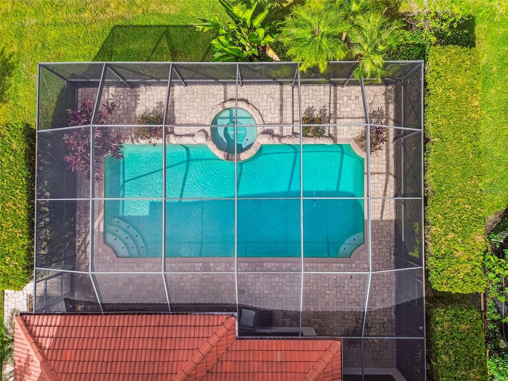 12803 Darby Ridge Drive Tampa, FL 33624 - Photo 68 of 76