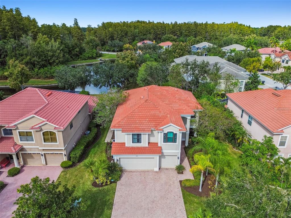 12803 Darby Ridge Drive Tampa, FL 33624 - Photo 71 of 76