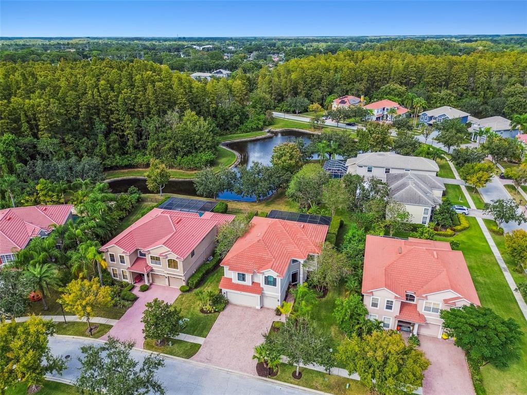 12803 Darby Ridge Drive Tampa, FL 33624 - Photo 73 of 76